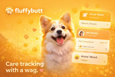 fluffybutt case study preview image